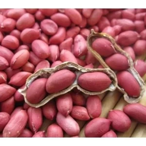 Pink Skin Peanut