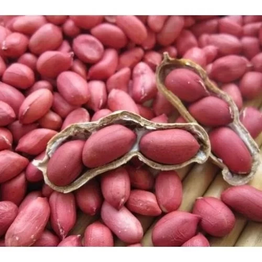 Pink Skin Peanut