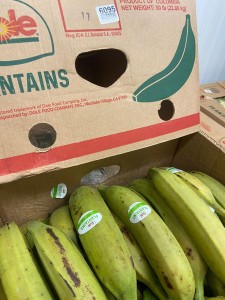 Plantain – Green