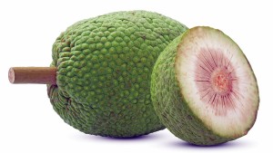 Bread Fruit
