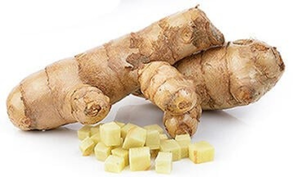 GINGER – Brazil